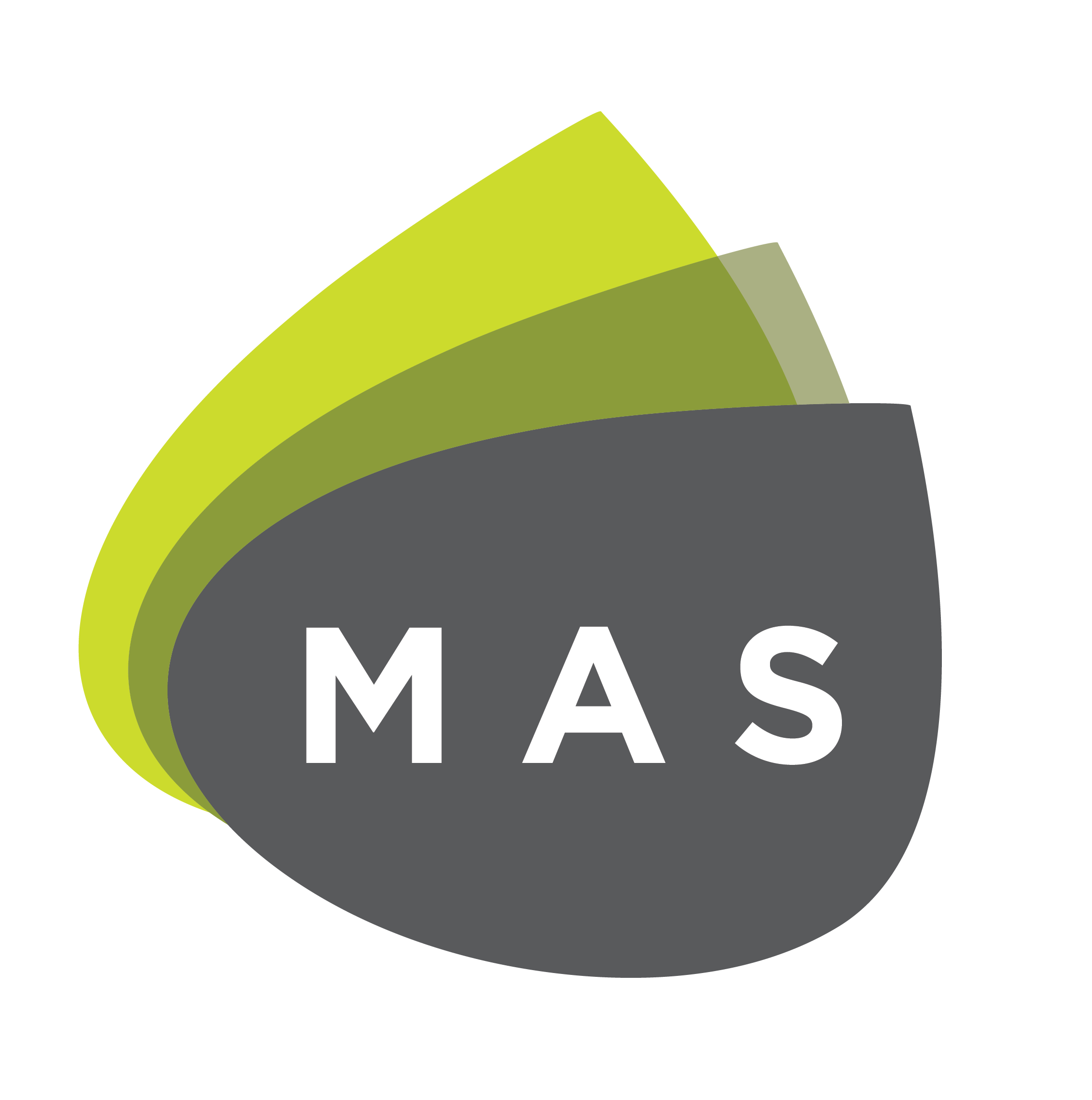 MAS Property Holding