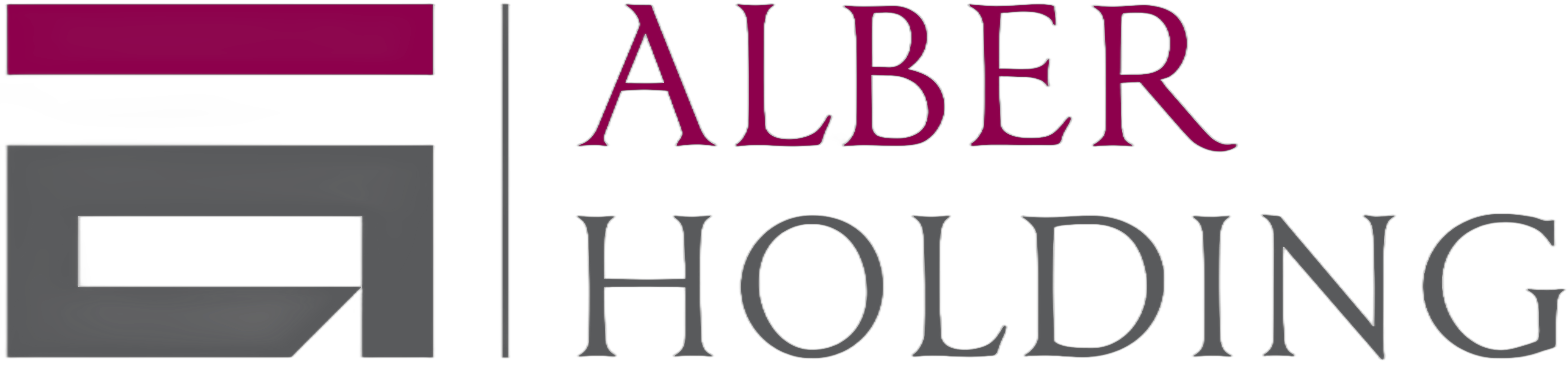 ALBER Holding